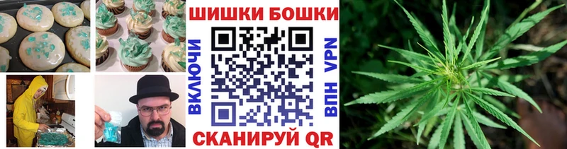 МЕГА ONION  дарк нет телеграм  Партизанск  Canna-Cookies марихуана  наркотики 