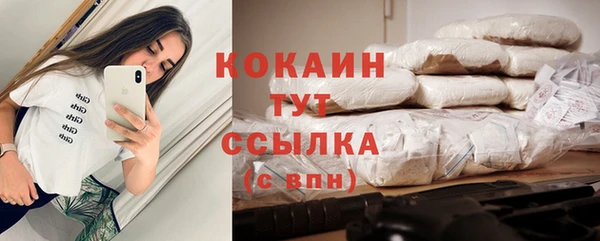индика Абдулино