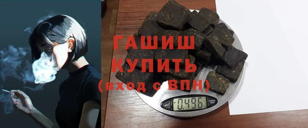 хмурый Абаза