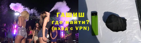 индика Осинники