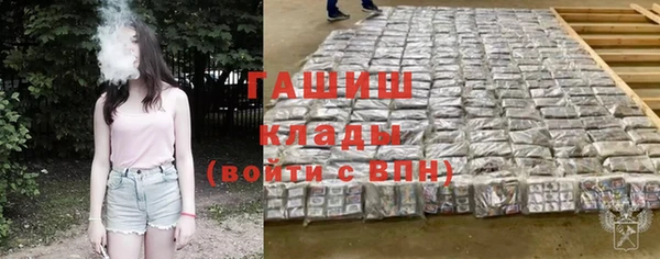 индика Осинники