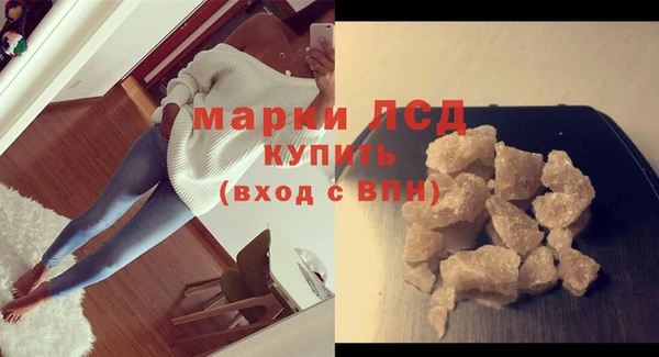 индика Осинники