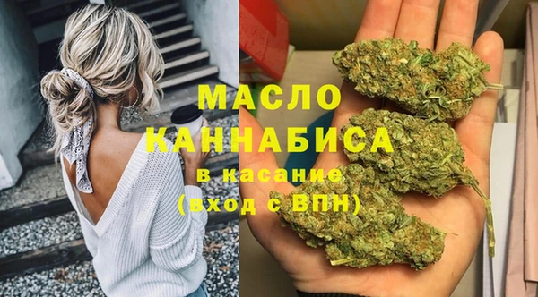 хмурый Абаза