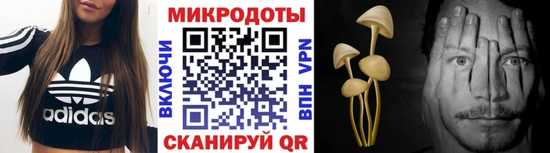 гидра зеркало  купить   Партизанск  Псилоцибиновые грибы Psilocybine cubensis 