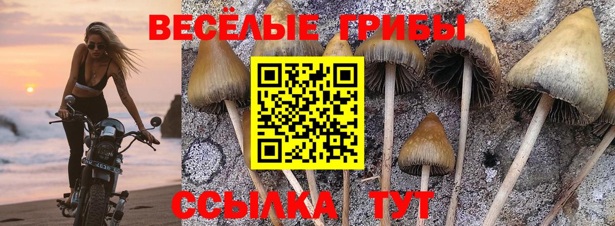 A PVP СОЛЬ кристаллы  Марихуана  Вход с VPN  Партизанск  Метамфетамин  LSD-25  Гашиш  ГАШ  Меф МЯУ МЯУ  